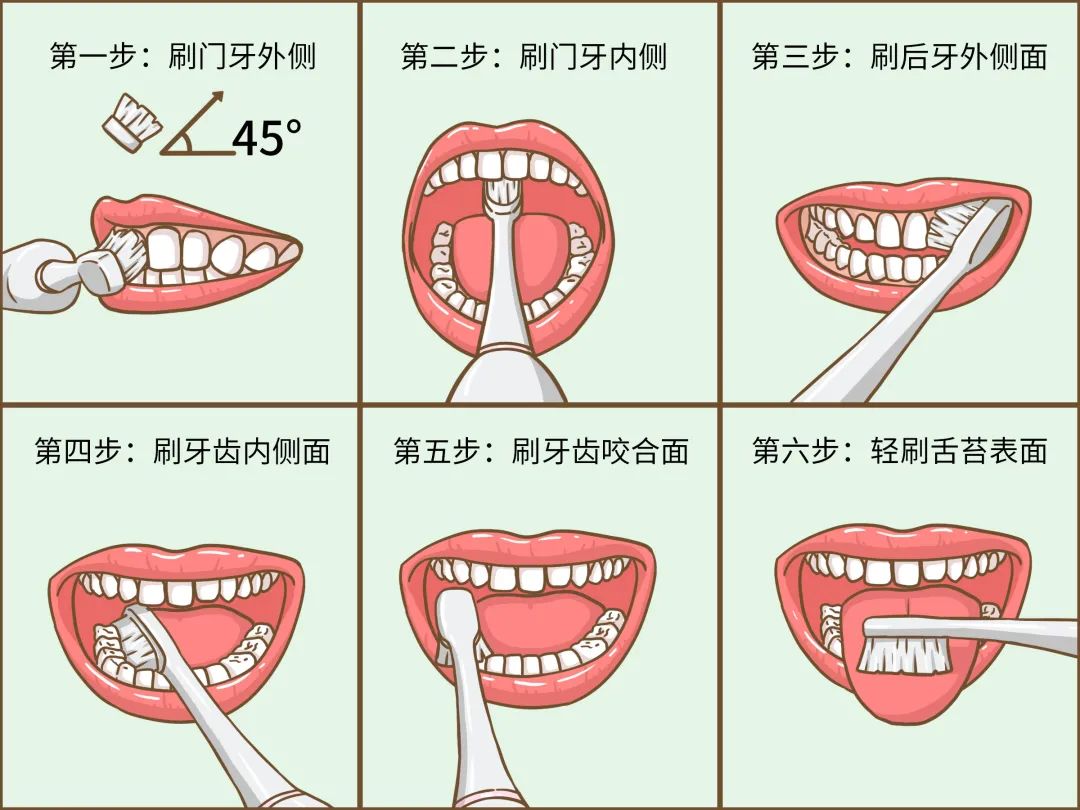 正确姿势当然还得跟着巴氏刷牙法来做,跟着下图示意的简单 6 步走