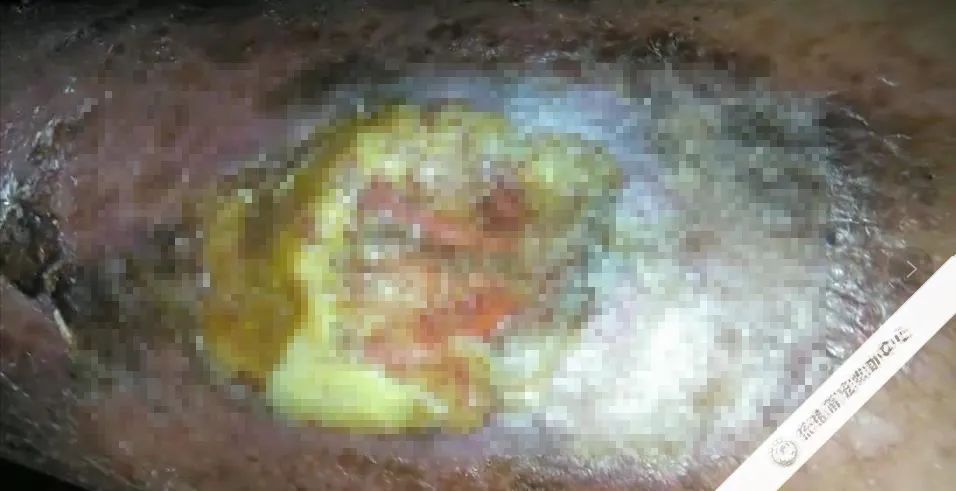 救救这700多只毛孩子吧!57岁救助人被病痛缠身,狗狗们将温饱难继!休闲区蓝鸢梦想 - Www.slyday.coM 救救这700多只毛孩子吧!57岁救助人被病痛缠身,狗狗们将温饱难继!休闲区蓝鸢梦想 - Www.slyday.coM