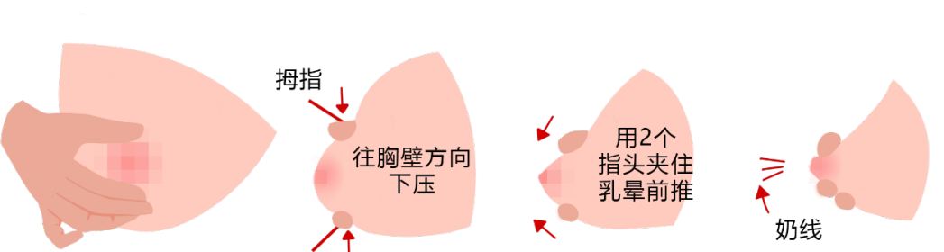 「图解」9步通乳手法,很实用!|乳房|乳晕|乳汁_新浪新闻