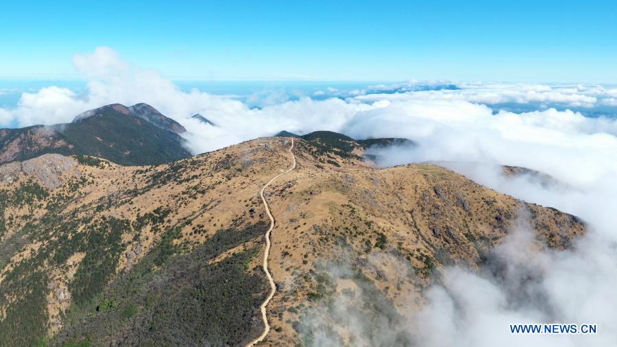 Aerial photo taken on Dec. 1, 2020 shows a cloud scenery at Wuyishan National Park, southeast China's Fujian Province. Wuyishan National Park is one of the country's 10 pilot national parks, with 210.7 square kilometers primary forest vegetation preserved here. (Xinhua/Jiang Kehong)