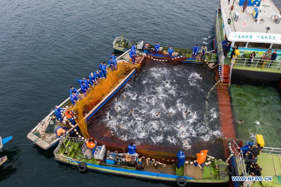 Aerial photo shows fishery workers catching fish at the southeastern area of the Qiandao Lake in Chun'an County, east China's Zhejiang Province, Dec. 1, 2020. (Xinhua/Xu Yu)