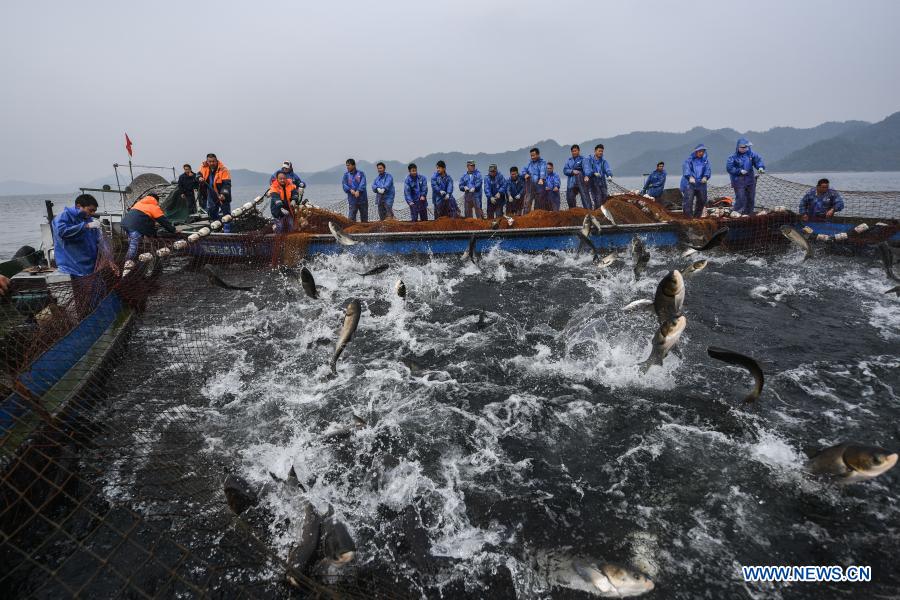 Fishery workers catch fish at the southeastern area of the Qiandao Lake in Chun'an County, east China's Zhejiang Province, Dec. 1, 2020. (Xinhua/Xu Yu)