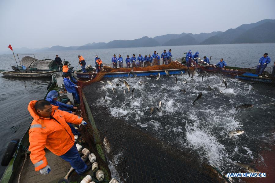 Fishery workers catch fish at the southeastern area of the Qiandao Lake in Chun'an County, east China's Zhejiang Province, Dec. 1, 2020. (Xinhua/Xu Yu)