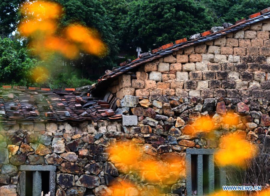 Photo taken on Dec. 1, 2020 shows a view of Zhangjiao Village in Tuling Township of Quan'gang District, Quanzhou City, southeast China's Fujian Province. Zhangjiao Village, located in the northwest mountainous area of Tuling Township, has a unique scenery with its stone houses stacked on top of each other. In recent years, Quan'gang District has made full use of the characteristic resources of Zhangjiao Village to develop ecological leisure tourism and promote the construction of beautiful countryside. (Xinhua/Wei Peiquan)