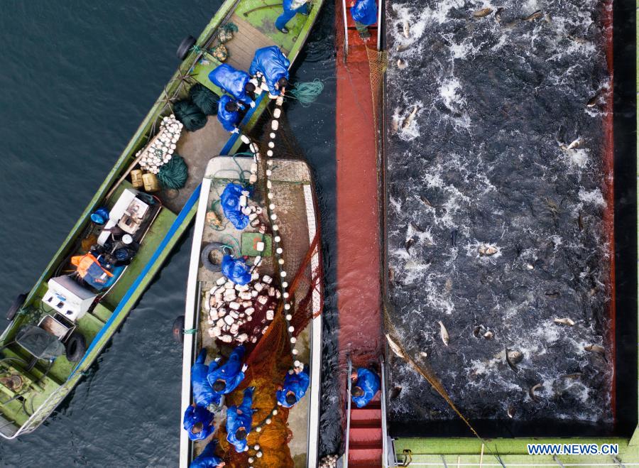 Aerial photo shows fishery workers catching fish at the southeastern area of the Qiandao Lake in Chun'an County, east China's Zhejiang Province, Dec. 1, 2020. (Xinhua/Xu Yu)