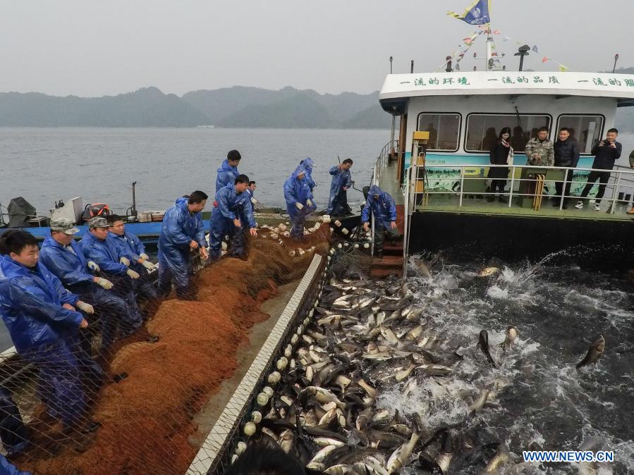 Fishery workers catch fish at the southeastern area of the Qiandao Lake in Chun'an County, east China's Zhejiang Province, Dec. 1, 2020. (Xinhua/Xu Yu)