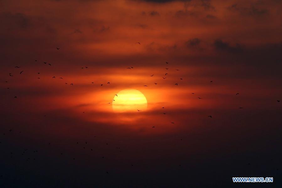 Photo taken on Dec. 1, 2020 shows birds flying over the Yangon river during the sunset at Botahtaung harbour in Yangon, Myanmar. (Xinhua/U Aung)