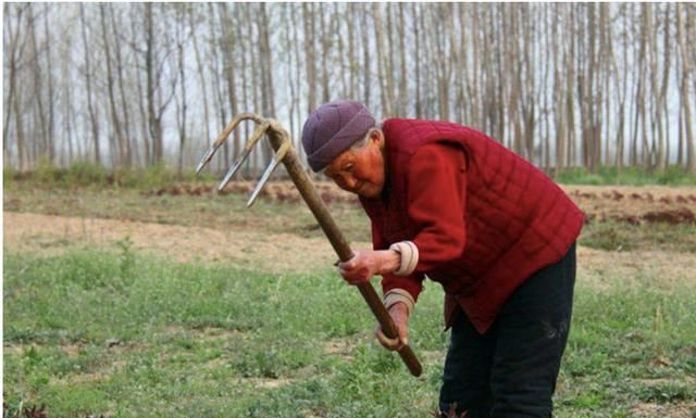 农村俗语“无事勤扫房,强于上药铺”是啥意思?老话还在理吗?