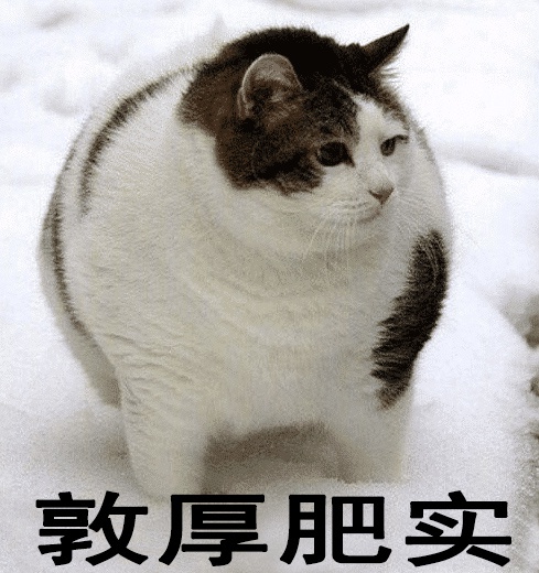 胖猫事件真相揭秘 年轻人恋爱观该如何反思