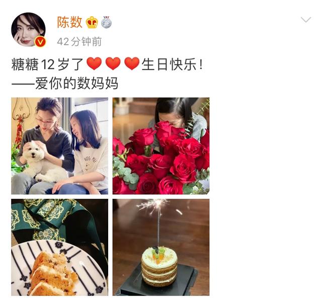 陈数罕晒12岁养女照片,为继子放弃生育,48岁富豪老公气质超然 陈数罕晒12岁养女照片,为继子放弃生育,48岁富豪老公气质超然