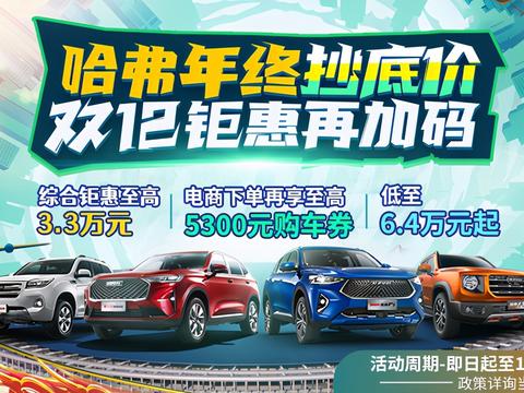 「12月12-13号 哈弗年终抄底价」 国际会展中心车展