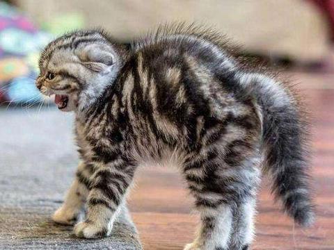 发现老公私房钱挺多要怎么办?