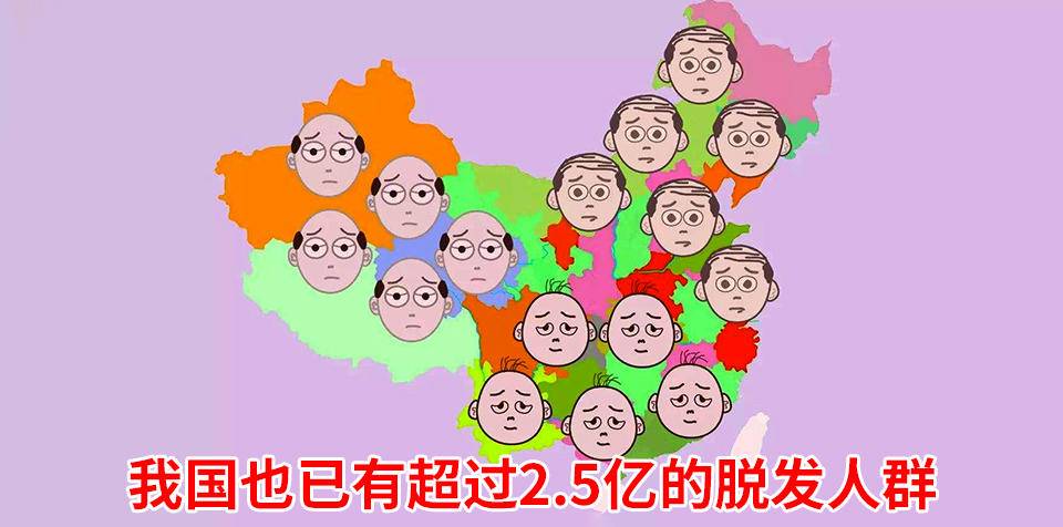 注意:脱发超过100根人群重点关注!休闲区蓝鸢梦想 - Www.slyday.coM 注意:脱发超过100根人群重点关注!休闲区蓝鸢梦想 - Www.slyday.coM