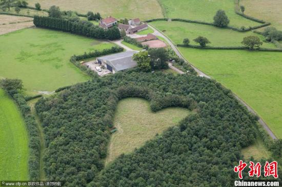 世卫组织公布全球十大死因 心脏病仍是“头号杀