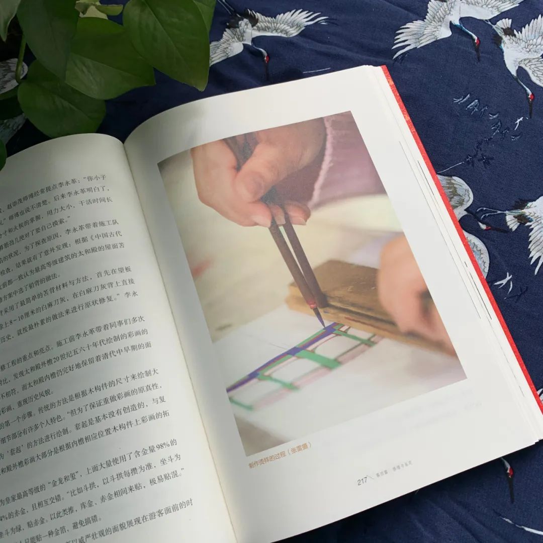 密码本是什么内容 ab18-kffctca2951611.jpg