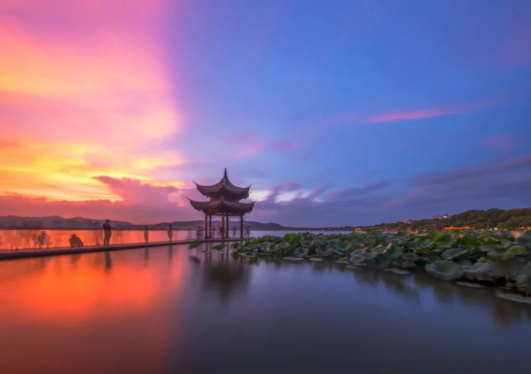 杭州 2020 户籍人口_何姓的户籍人口排名(3)