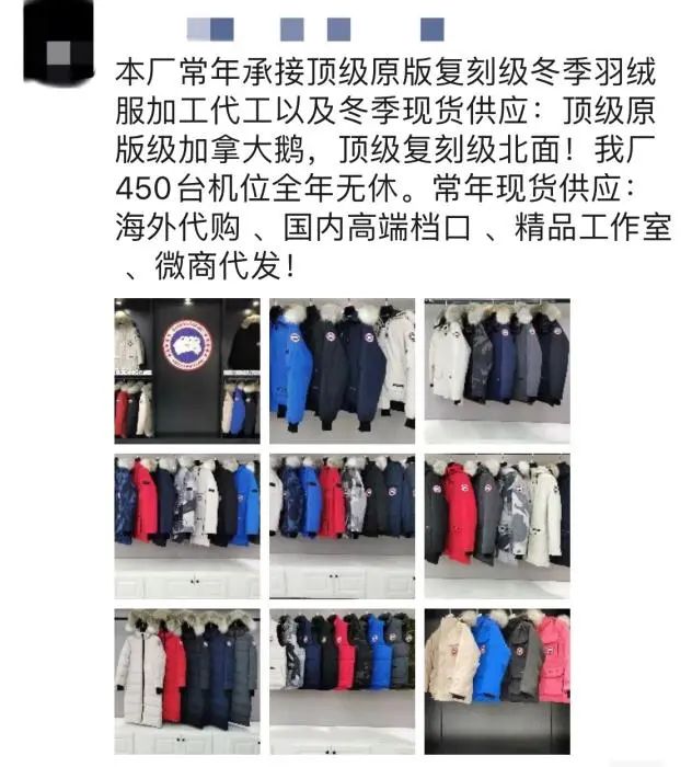 国产羽绒服的逆袭:波司登们碾压“加拿大鹅”