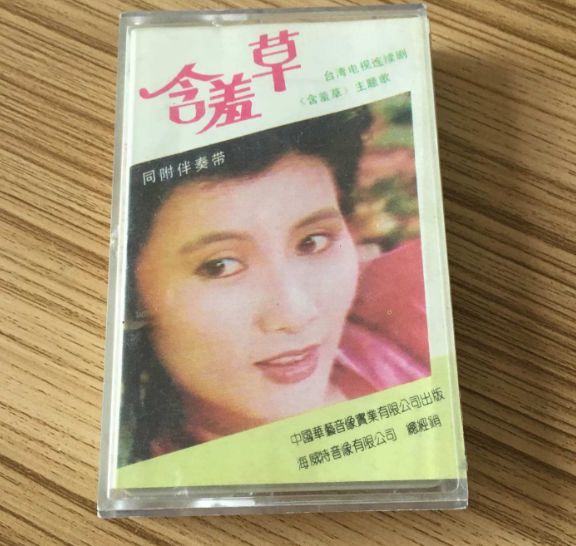 经典老电视剧排行榜_极少被人关注的6部经典老剧,每部9分以上,你可能一部也没看过