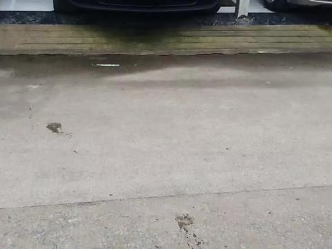 实拍武汉最大的二手车市场，奔驰8万，哈佛2万，跑车20万，贵吗