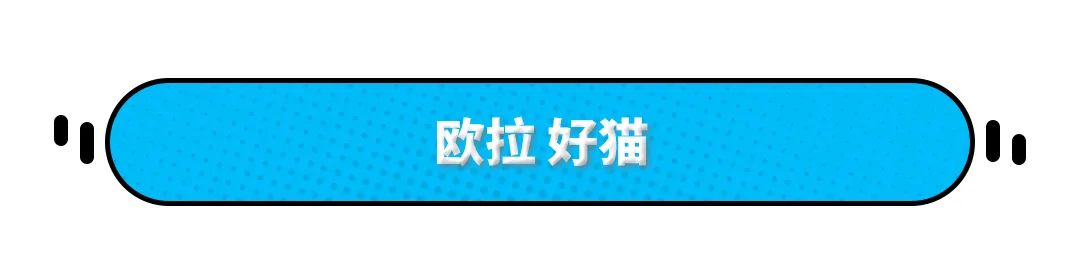 买不起又怕养不起？没关系 2020年这些新车满足你 最低2.88万！