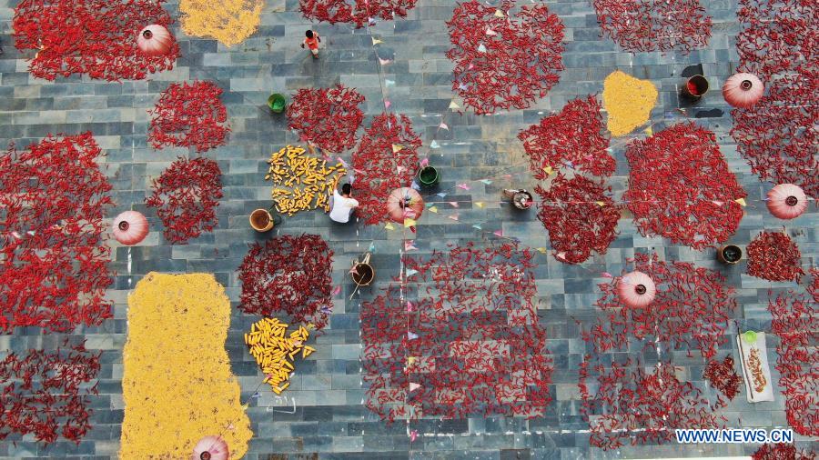 Aerial photo taken on Aug. 15, 2020 shows villagers airing crops in Xiudong Village of Jinping County, southwest China's Guizhou Province. (Photo by Yang Xiaohai/Xinhua)