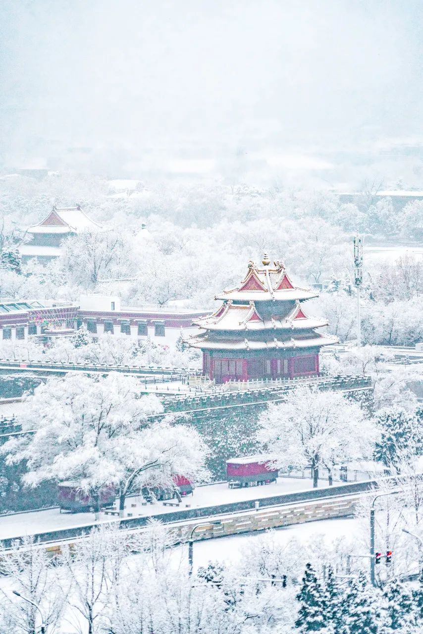 大雪过后的北京 你一定要去看看