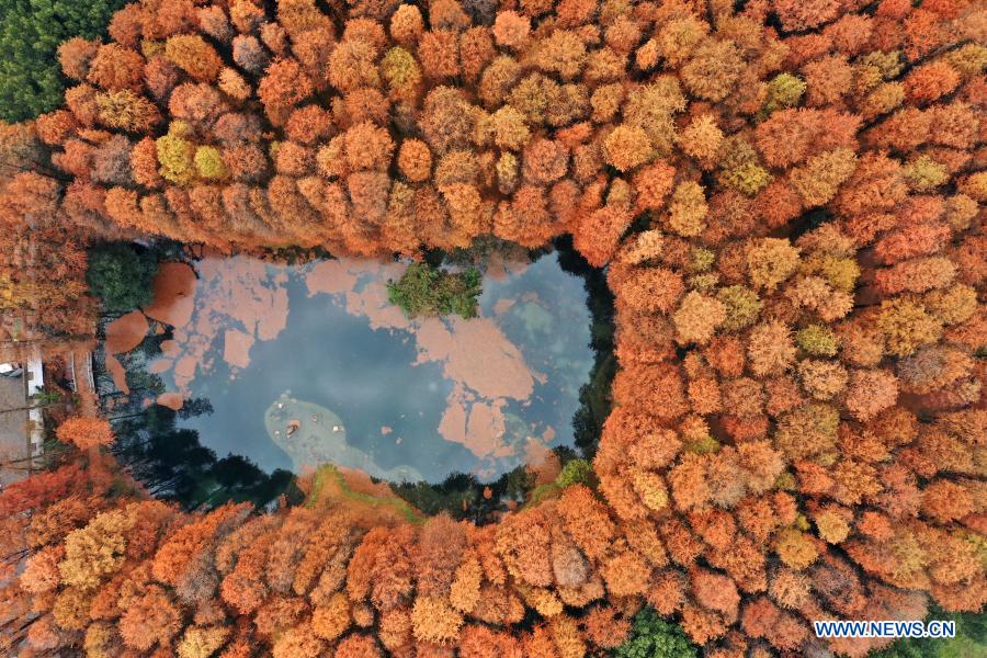 Aerial photo taken on Dec. 15, 2020 shows the scenery of the Donghu Lake in Wuhan, central China's Hubei Province. (Photo by Peng Qi/Xinhua)