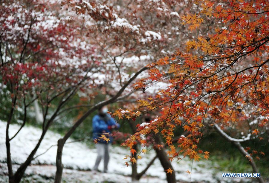 A tourist enjoys the snow scenery at the Yuhuatai scenic spot in Nanjing, capital of east China's Jiangsu Province, on Dec. 14, 2020. Snow has fallen in many parts of the country in recent days. (Photo by Sun Zhongnan/Xinhua)