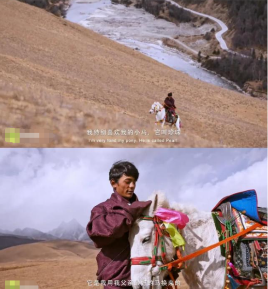 丁真声称只想放牛，回到原来的世界，爆红之后他也身不由己