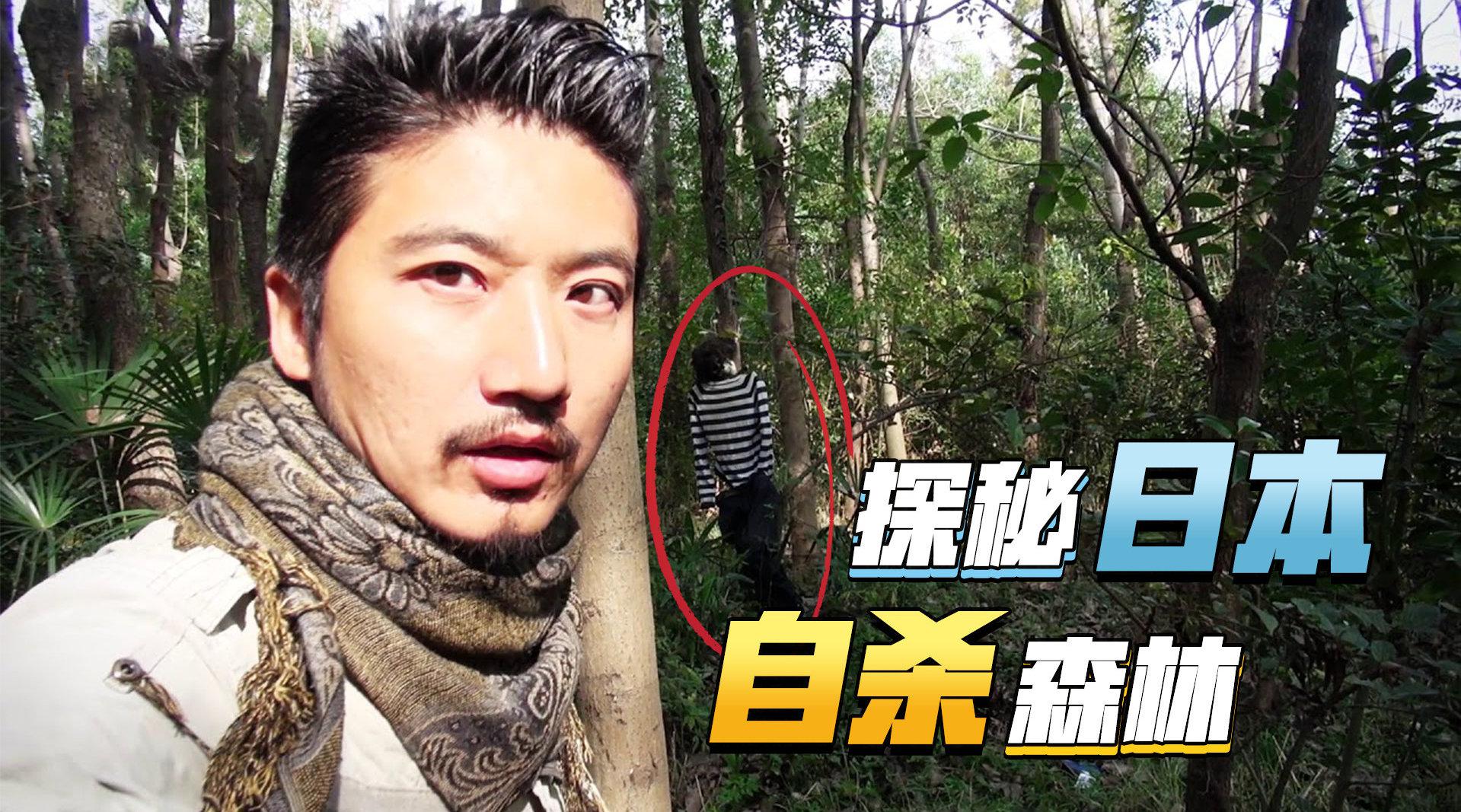 雷探长事务所之日本青木原树海自杀者树林