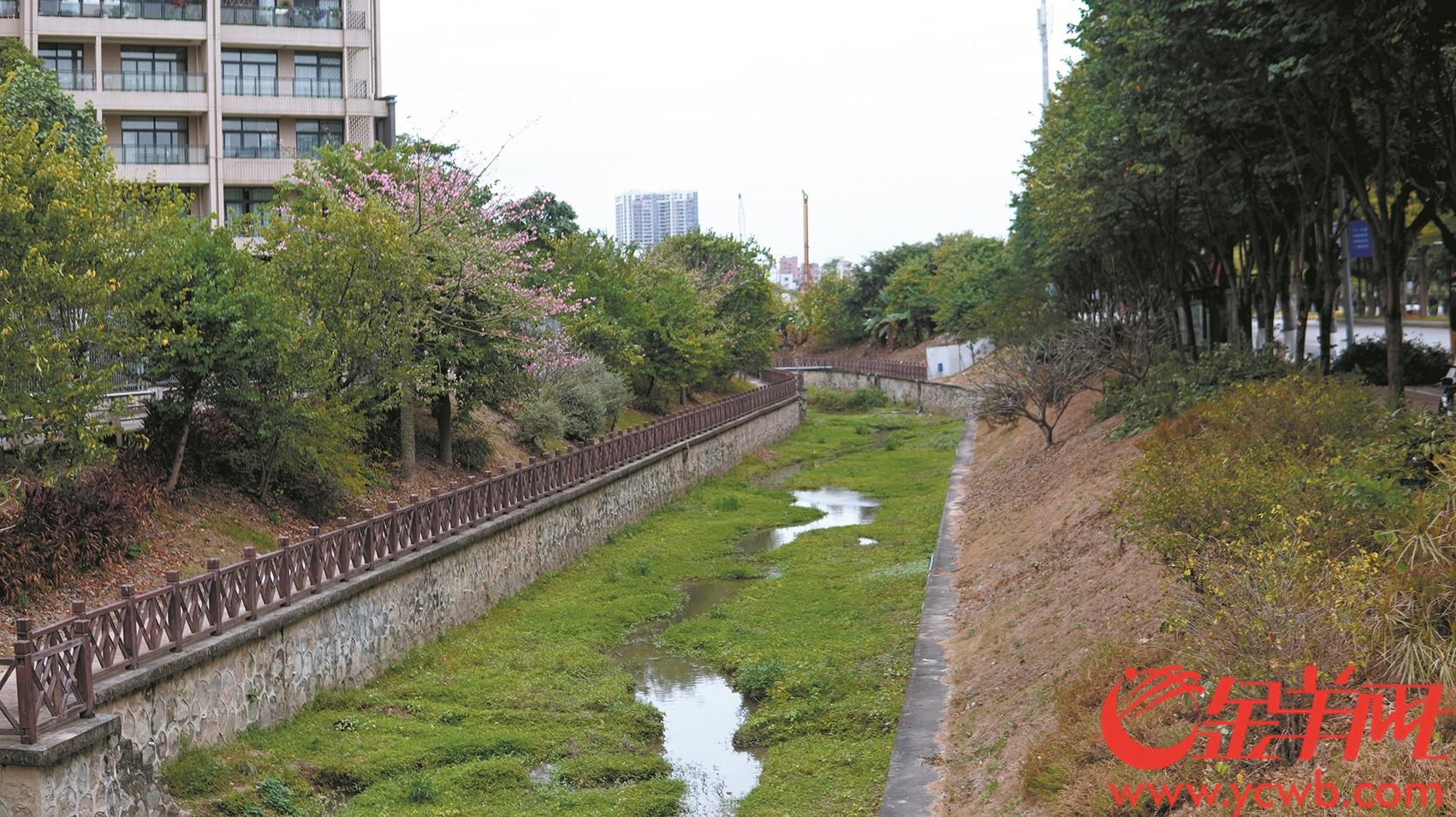 云城北二路和云城东路的河涌