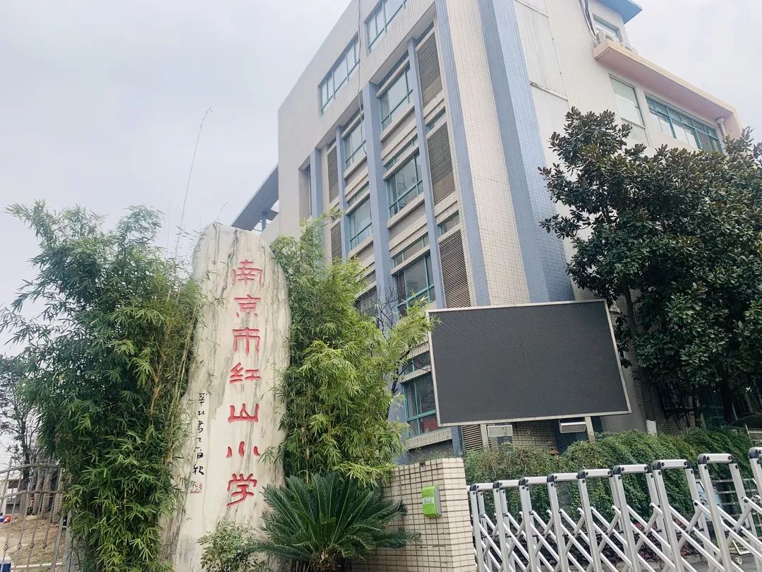 【校园新闻】妙笔作文展风采 红山小学才子们迎喜报啦