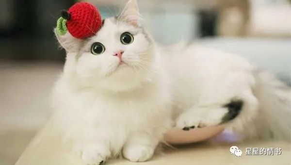 测字：新年将至，2021你将在哪方面【心想事成】？