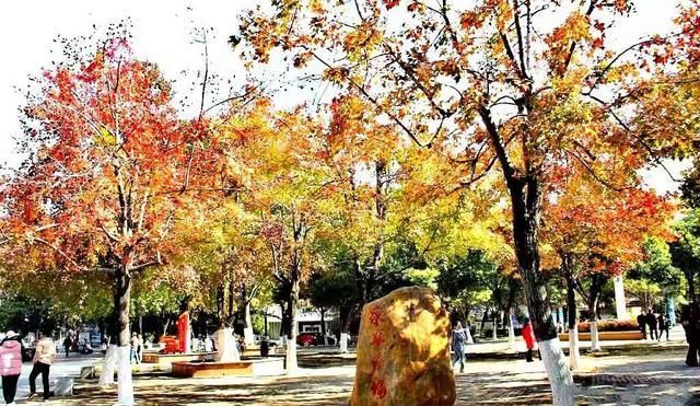 北流市区人口_广西10个县级市城区总人口:北流最多,合山最少,桂平建成区面积