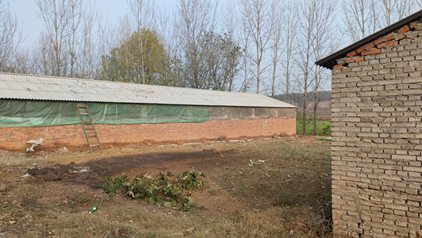 下碑寺乡各村有多少人口_台湾有多少人口