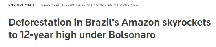 巴西雨林砍伐面积创12年新高 相当于7个伦敦
