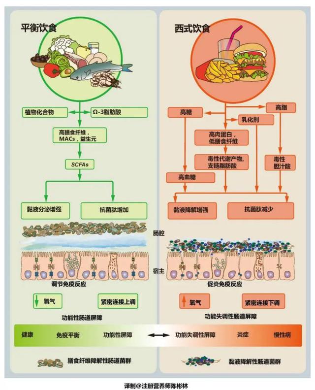 粪菌移植拯救PD1抑制剂难治癌症?联合免疫治疗休闲区蓝鸢梦想 - Www.slyday.coM 粪菌移植拯救PD1抑制剂难治癌症?联合免疫治疗休闲区蓝鸢梦想 - Www.slyday.coM
