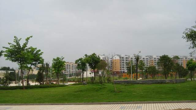 广水100元一条街：烟火气中的消费密码与市井经济学