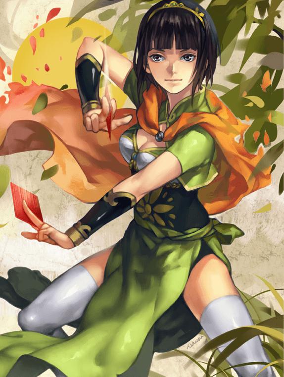 ����ɱ�佫���ػ�ɫ�����޴���ҳ�ε��������ؿڼз��飬����ܲ��������