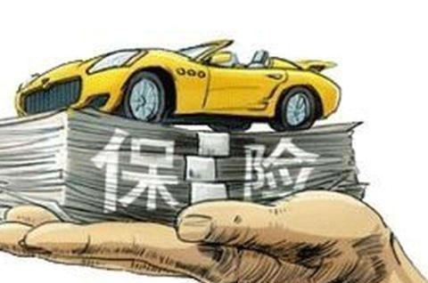 出了事故报保险时说话有讲究,保险员说漏嘴：就等你说这几句话呢