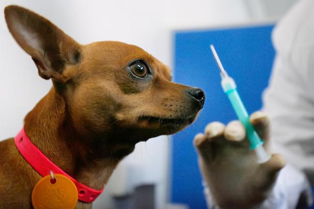 3岁男孩被邻居家狗咬身亡,孩子父亲:两家不足百米,狗常年不拴休闲区蓝鸢梦想 - Www.slyday.coM 3岁男孩被邻居家狗咬身亡,孩子父亲:两家不足百米,狗常年不拴休闲区蓝鸢梦想 - Www.slyday.coM