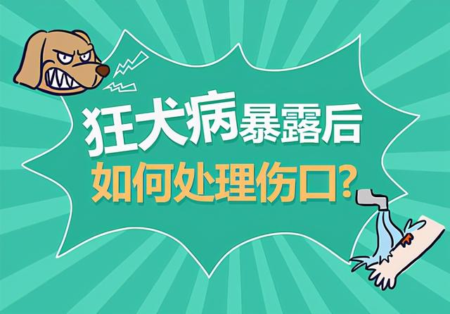 3岁男孩被邻居家狗咬身亡,孩子父亲:两家不足百米,狗常年不拴休闲区蓝鸢梦想 - Www.slyday.coM 3岁男孩被邻居家狗咬身亡,孩子父亲:两家不足百米,狗常年不拴休闲区蓝鸢梦想 - Www.slyday.coM