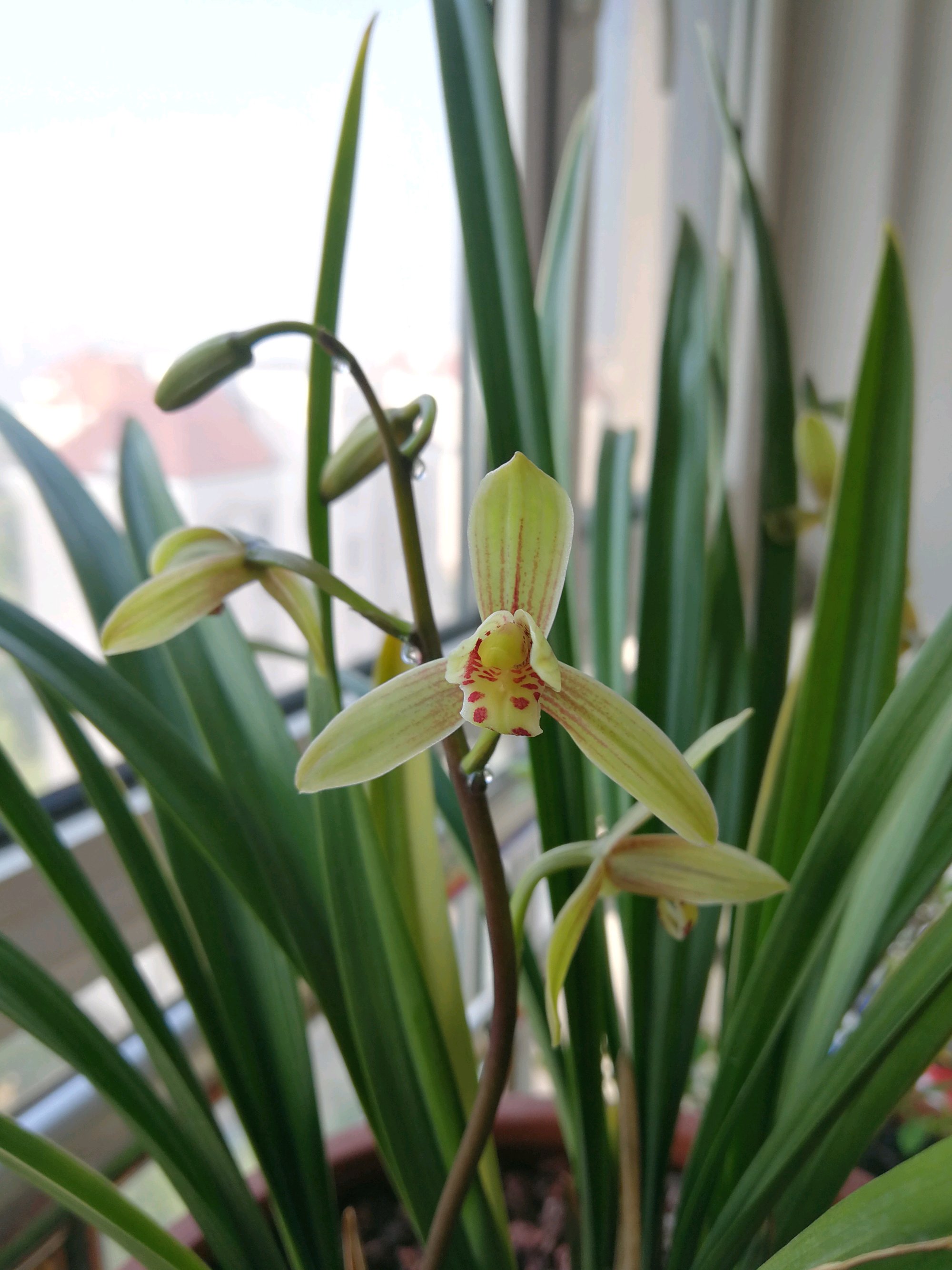 51论坛新手入门指南：从零开始玩转社区，快速掌握51论坛核心玩法