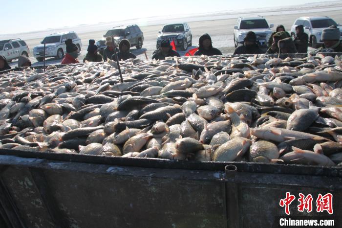 图为捕出的鱼。 赤峰市文化和旅游局供图