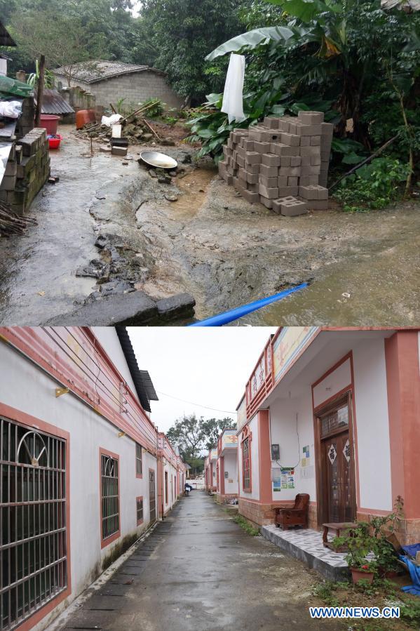 TOP: Undated photo shows a view of Baorui Village, Qiongzhong County, south China's Hainan Province before a renovation plan was implemented. BOTTOM: Photo taken on Dec. 17, 2020 by Zhang Liyun shows a view of Baorui Village. Visitors are likely to be impressed by brand-new residences and smooth paved roads when they come to Baorui Village in Hainan Province. But such a scene is barely imaginable back in 2017 when people of the Li ethnic group inhabiting here were mostly mired in poverty and lived in dilapidated houses. Back then, the village only had muddy paths with many places inaccessible even to motorcycle traffic. For a village which grows rubber trees as sole source of income, lack of decently paved roads had made it extremely difficult for villagers to transport and sell rubber. The year 2017 was a turning point for the villagers. In that year, thanks to a government-funded housing and infrastructure renovation plan, 62 households renovated their homes and 1.66 kilometers of roads were built. In the village, almost every family grows rubber trees for a living. To mobilize villagers, the local government bought them natural rubber price insurance to hedge against price risks. Some other impoverished villagers turned to raise farm animals as another way to cast off poverty. Only within years, the villagers here have access to tap water and natural gas, and they also have entertainment and sports facilities. All 167 residents of the 41 officially registered poor households shook off poverty by the end of 2018. (Xinhua)