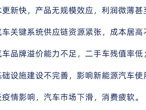 首批新能源车主现状如何？车主直呼：养不起