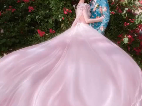 婚纱挂烫机_婚纱情侣头像(2)