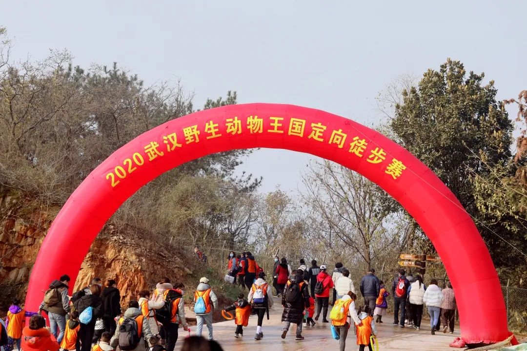 武汉野生动物王国项目位于蔡甸区张湾街乌梅山区域,于2016年正式立项