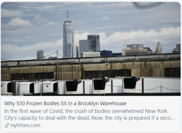 美国新生人口_美国人口(3)