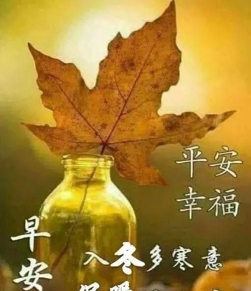 2020年底最新版早上好祝福语句精选,很漂亮的早安问候